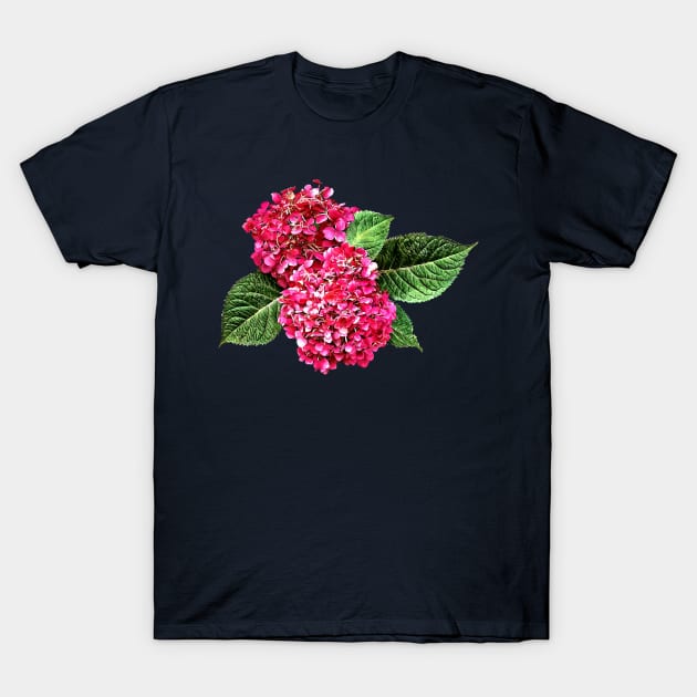 Dark Pink Hydrangea T-Shirt by SusanSavad